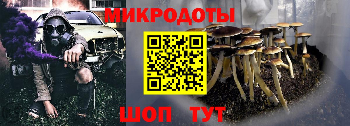 Псилоцибиновые грибы Cubensis Ангарск
