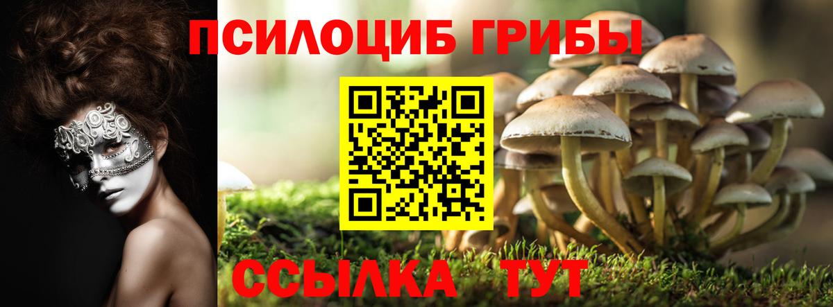 Ангарск  Псилоцибиновые грибы Cubensis  Вход с VPN 